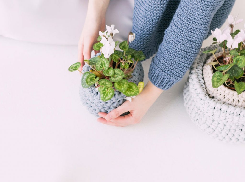 About bg 1024x759.jpg