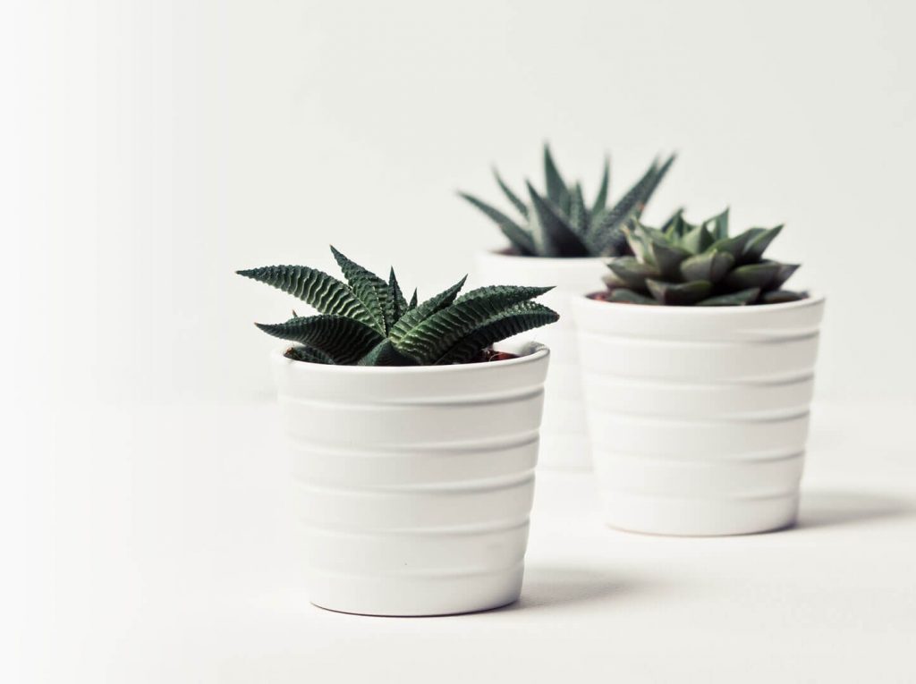 Contact bg 1024x765.jpg