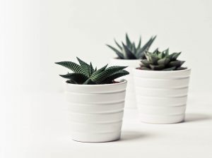 Contact bg 300x224.jpg