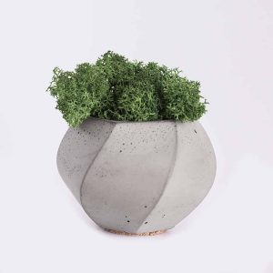 Plant4 free img 300x300.jpg